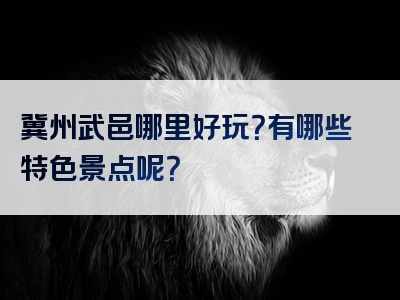 冀州武邑哪里好玩？有哪些特色景点呢？