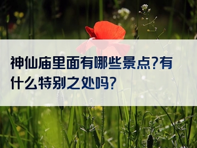 神仙庙里面有哪些景点？有什么特别之处吗？