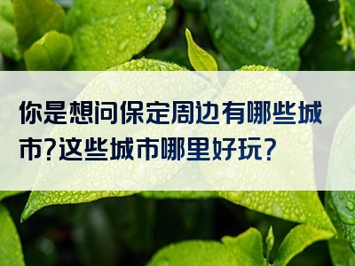 你是想问保定周边有哪些城市？这些城市哪里好玩？
