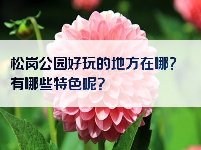 松岗公园好玩的地方在哪？有哪些特色呢？
