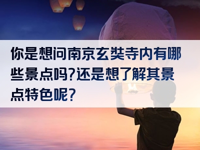 你是想问南京玄奘寺内有哪些景点吗？还是想了解其景点特色呢？
