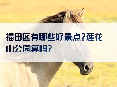 福田区有哪些好景点？莲花山公园算吗？