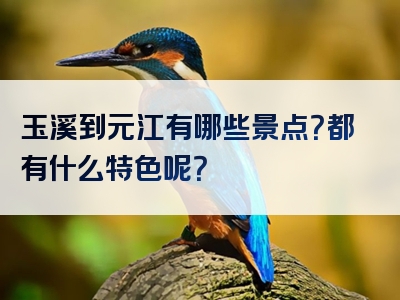 玉溪到元江有哪些景点？都有什么特色呢？