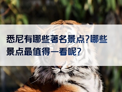 悉尼有哪些著名景点？哪些景点最值得一看呢？