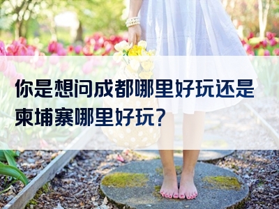 你是想问成都哪里好玩还是柬埔寨哪里好玩？