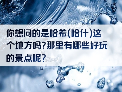 你想问的是哈希（哈什）这个地方吗？那里有哪些好玩的景点呢？
