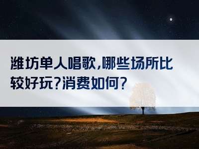 潍坊单人唱歌，哪些场所比较好玩？消费如何？