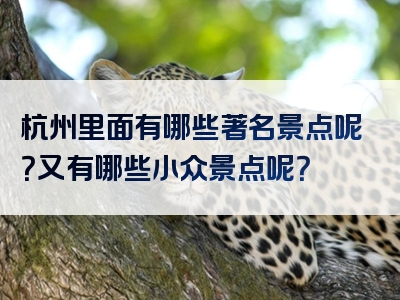 杭州里面有哪些著名景点呢？又有哪些小众景点呢？