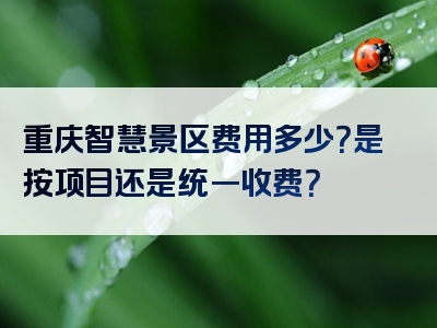 重庆智慧景区费用多少？是按项目还是统一收费？