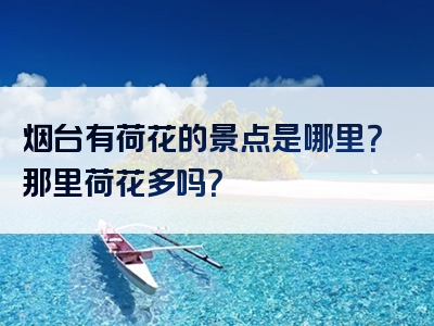 烟台有荷花的景点是哪里？那里荷花多吗？