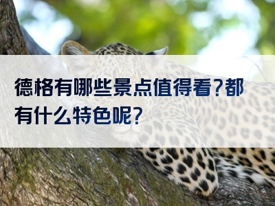 德格有哪些景点值得看？都有什么特色呢？