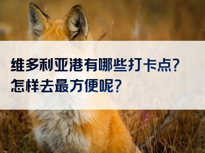 维多利亚港有哪些打卡点？怎样去最方便呢？