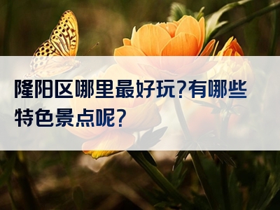 隆阳区哪里最好玩？有哪些特色景点呢？