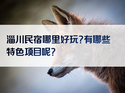 淄川民宿哪里好玩？有哪些特色项目呢？