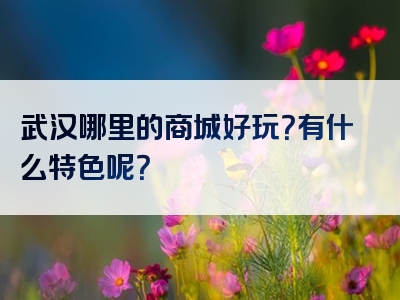 武汉哪里的商城好玩？有什么特色呢？