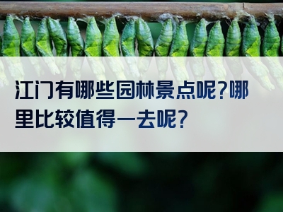 江门有哪些园林景点呢？哪里比较值得一去呢？