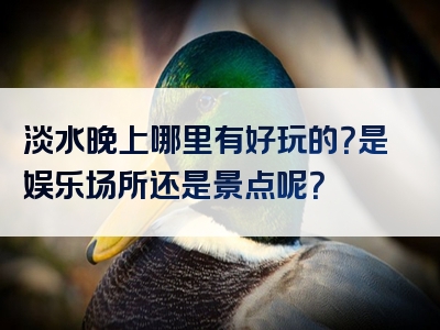 淡水晚上哪里有好玩的？是娱乐场所还是景点呢？