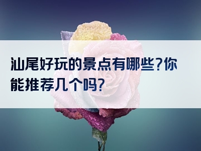 汕尾好玩的景点有哪些？你能推荐几个吗？