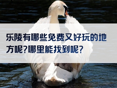 乐陵有哪些免费又好玩的地方呢？哪里能找到呢？