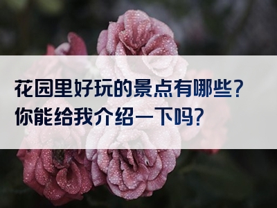 花园里好玩的景点有哪些？你能给我介绍一下吗？