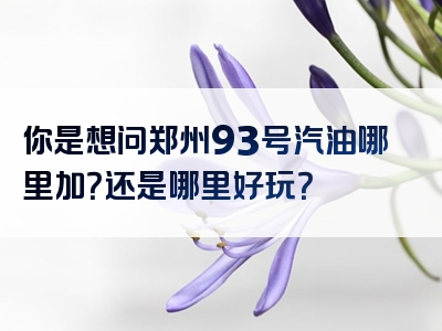你是想问郑州93号汽油哪里加？还是哪里好玩？