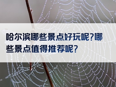 哈尔滨哪些景点好玩呢？哪些景点值得推荐呢？