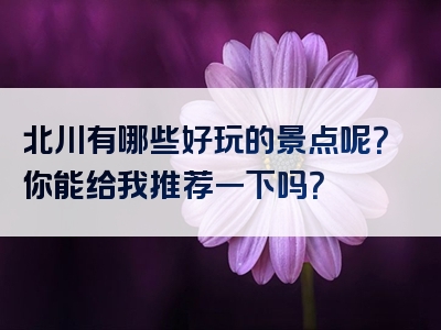 北川有哪些好玩的景点呢？你能给我推荐一下吗？