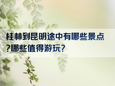 桂林到昆明途中有哪些景点？哪些值得游玩？