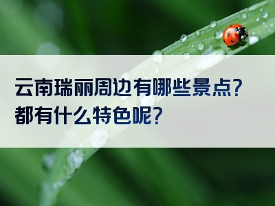 云南瑞丽周边有哪些景点？都有什么特色呢？
