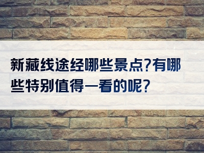 新藏线途经哪些景点？有哪些特别值得一看的呢？