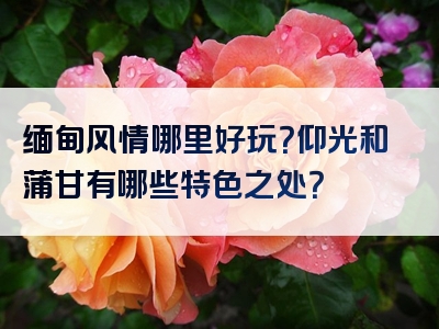 缅甸风情哪里好玩？仰光和蒲甘有哪些特色之处？