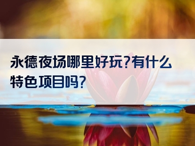 永德夜场哪里好玩？有什么特色项目吗？