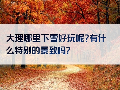 大理哪里下雪好玩呢？有什么特别的景致吗？