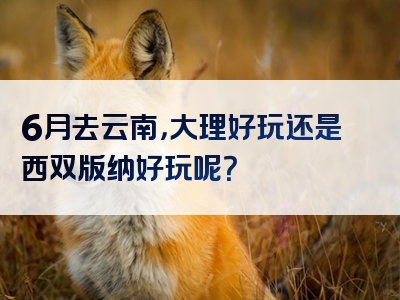 6月去云南，大理好玩还是西双版纳好玩呢？