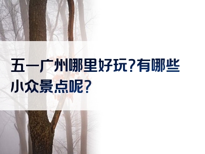 五一广州哪里好玩？有哪些小众景点呢？