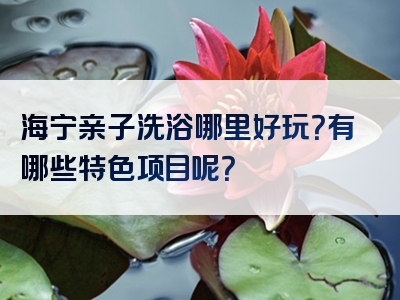 海宁亲子洗浴哪里好玩？有哪些特色项目呢？