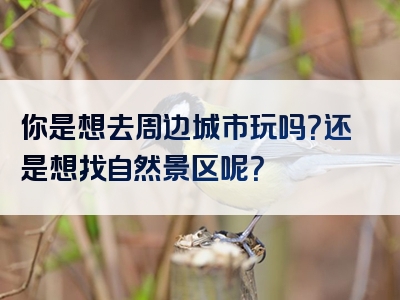 你是想去周边城市玩吗？还是想找自然景区呢？