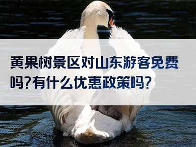 黄果树景区对山东游客免费吗？有什么优惠政策吗？