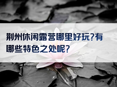 荆州休闲露营哪里好玩？有哪些特色之处呢？