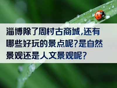 淄博除了周村古商城，还有哪些好玩的景点呢？是自然景观还是人文景观呢？