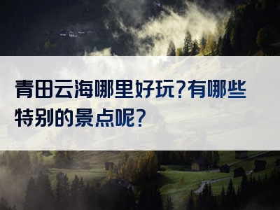 青田云海哪里好玩？有哪些特别的景点呢？