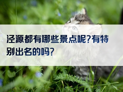 泾源都有哪些景点呢？有特别出名的吗？