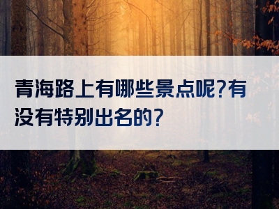 青海路上有哪些景点呢？有没有特别出名的？