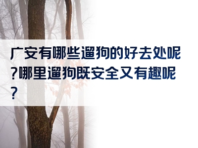 广安有哪些遛狗的好去处呢？哪里遛狗既安全又有趣呢？