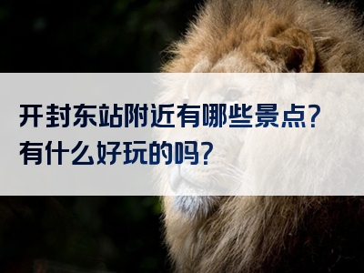 开封东站附近有哪些景点？有什么好玩的吗？