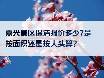 嘉兴景区保洁报价多少？是按面积还是按人头算？