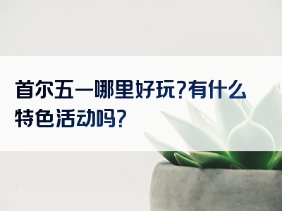首尔五一哪里好玩？有什么特色活动吗？