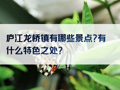 庐江龙桥镇有哪些景点？有什么特色之处？