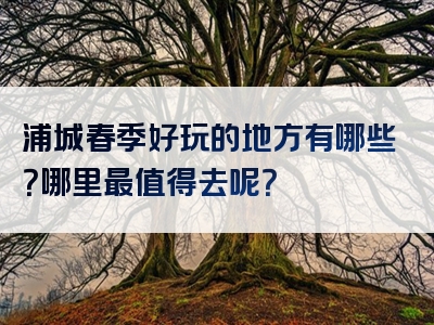 浦城春季好玩的地方有哪些？哪里最值得去呢？