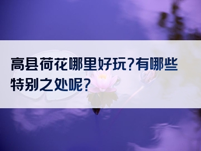 高县荷花哪里好玩？有哪些特别之处呢？